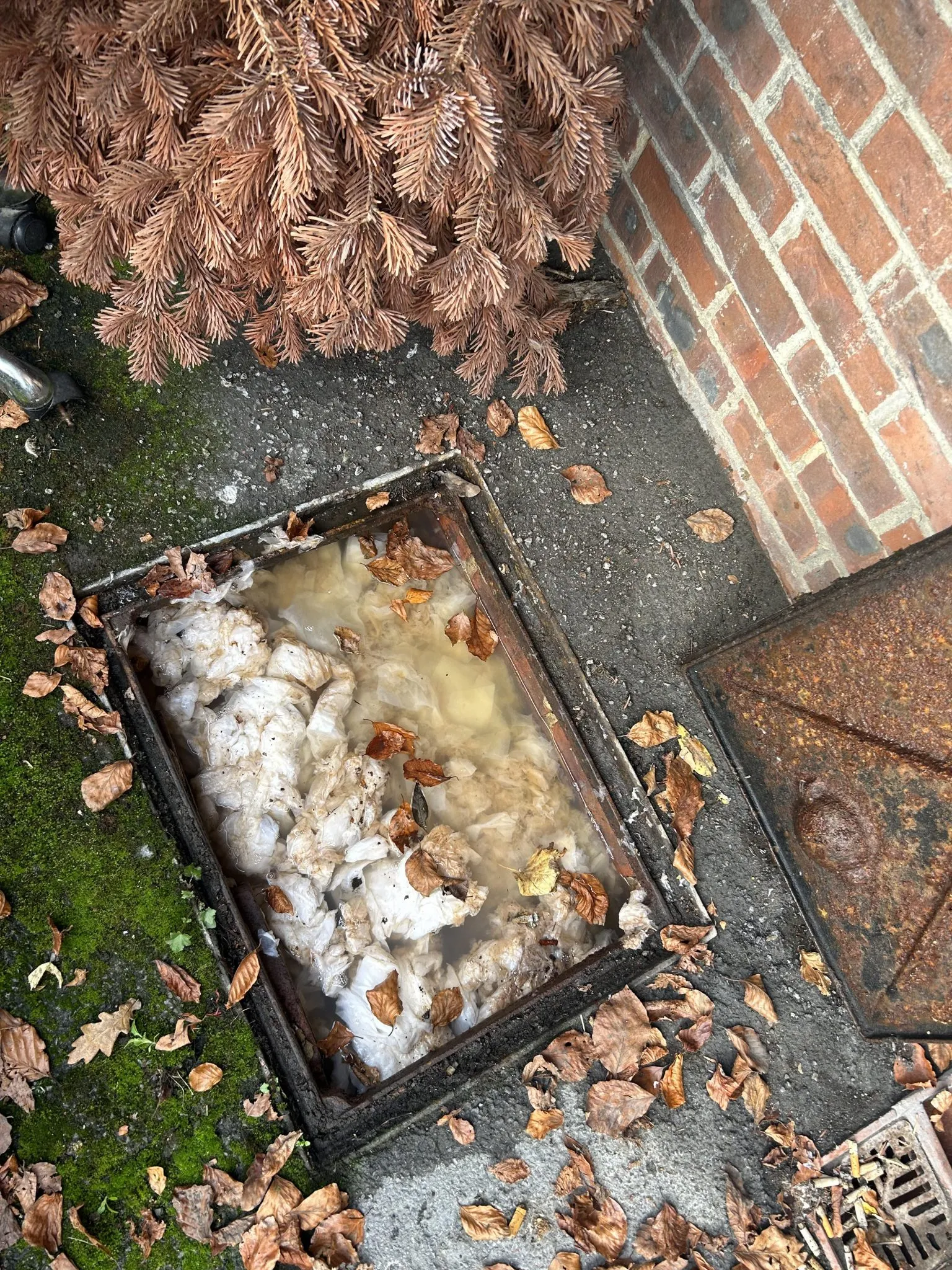 A picture of a blocked drain