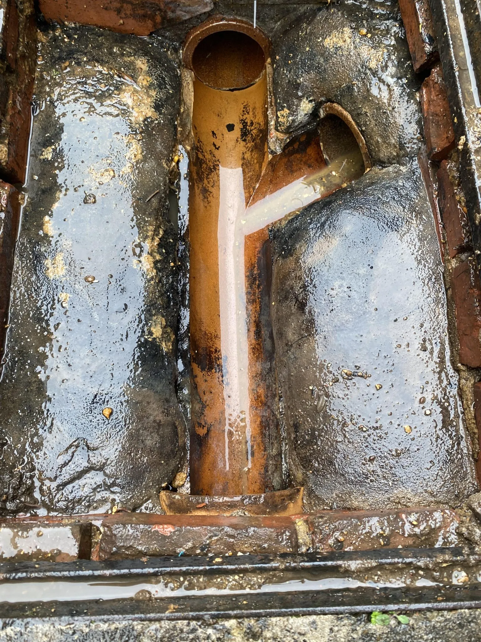 Standing water inside a domestic drain gully or inspection chamber, showing a potential blockage.